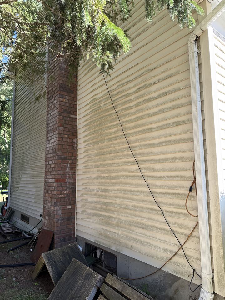 Green algae streaking down the siding beside the brick chimney